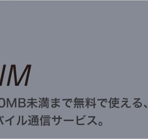 0SIMの詳細と要注意点。万人向けでない格安SIM。
