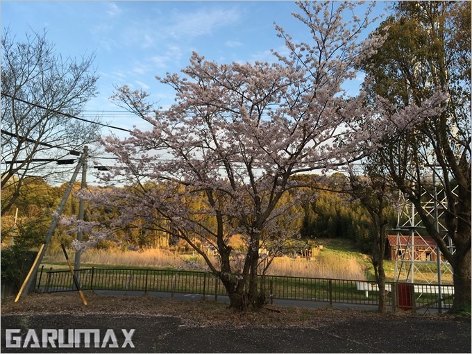 garumax-iPhoneSE-sakura (16) garumax-iPhoneSE-sakura (16)