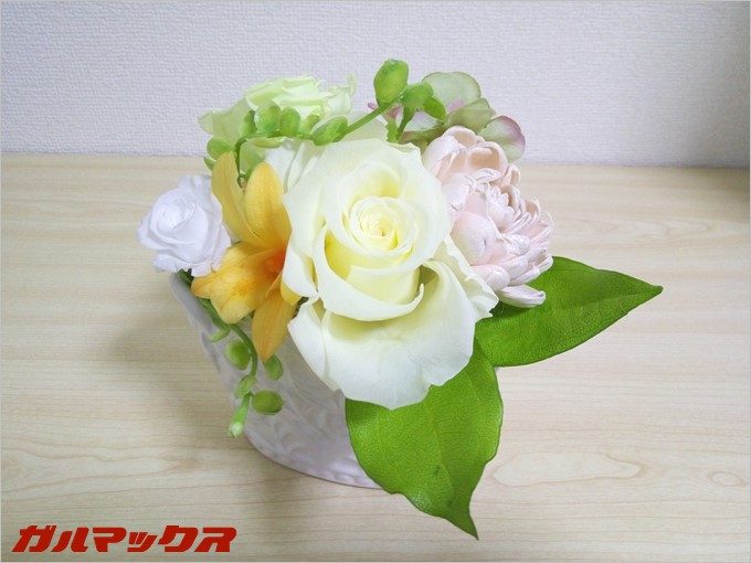 garumax-samurai-rei-Camera (1)