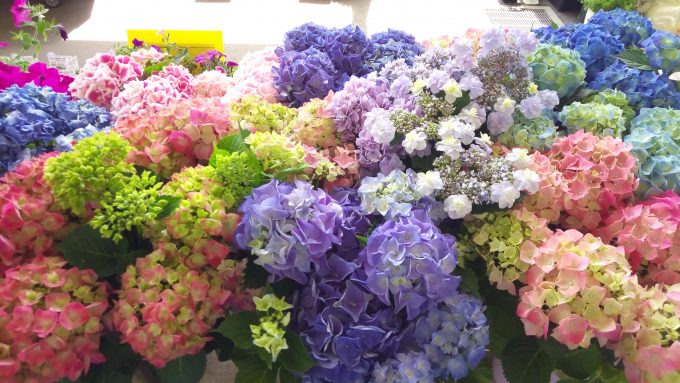 samurai-rei-Camera-1661 (1)