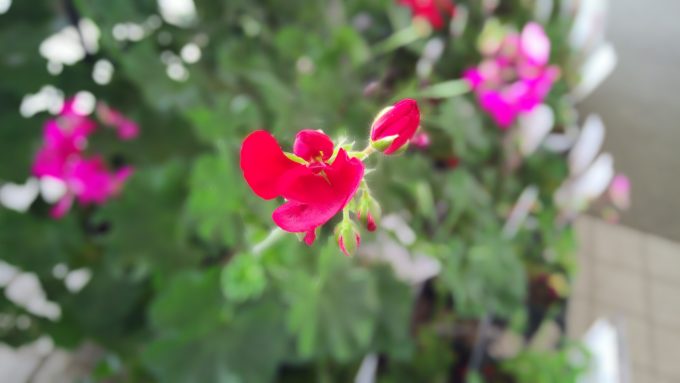 samurai-rei-Camera-1661 (2)