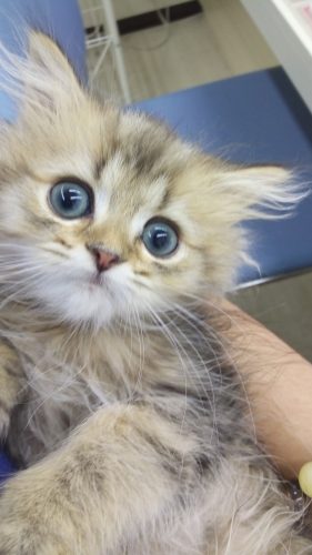 samurai-rei-Camera-1661 (7)