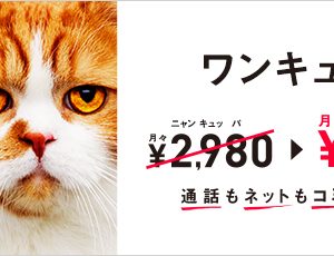 ワイモバイルが基本料金を1年間毎月1,000円割引！24時間カケホ付けても安い！