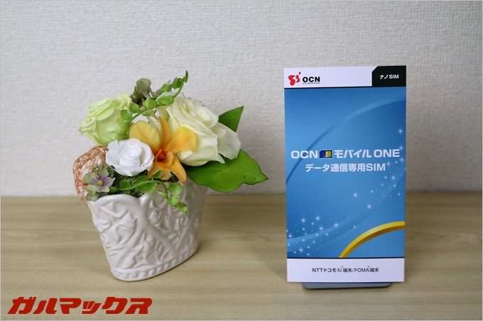 garumax-ocnモバイルONE (2)