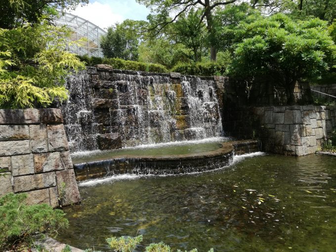 P9liteを三脚とスマホ固定台を利用して小さな滝を撮影