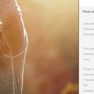 ファーウェイP9の宣伝で写真偽装。どういうことか確認してきたら本当だった