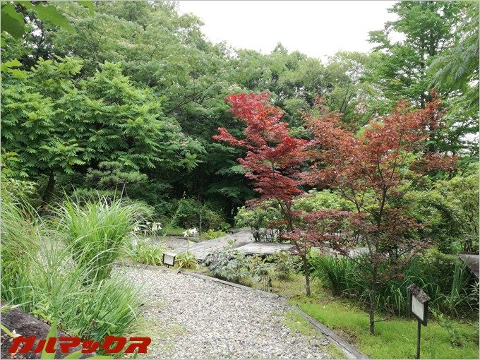 通常撮影はこんな感じに写ります