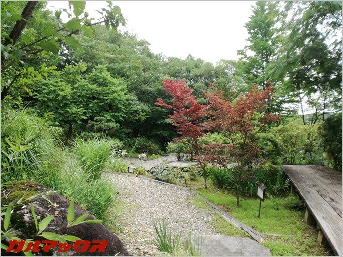 広角レンズを使うと広がりある写りに