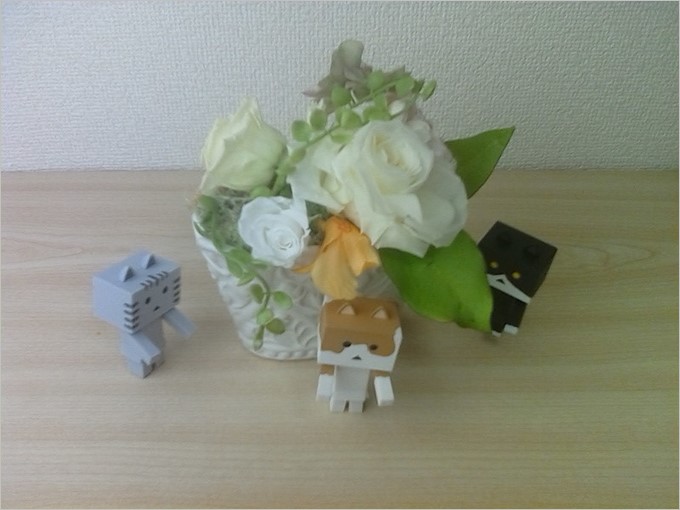 カメラはオマケなので期待しないほうが良いです