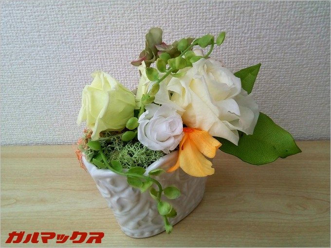 CUBOT DINOSAURでいつもの花。ぢ繋いで撮影