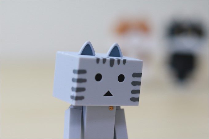 EF50mm f/1.8STM、f2.8、シャッター速度1/500、ISO800