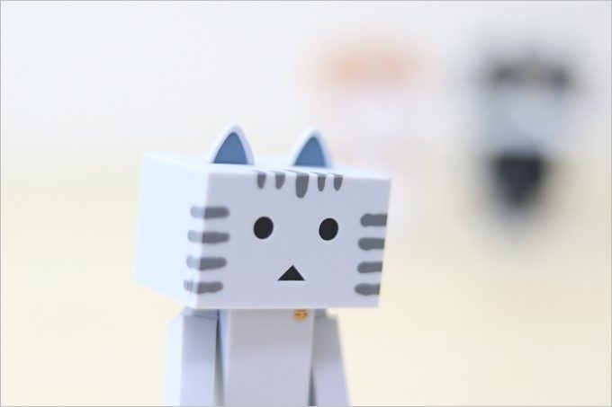 EF50mm f/1.8STM、f1.8、シャッター速度1/500、ISO800