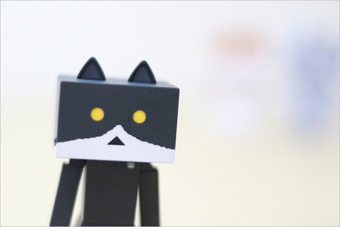 EF50mm f/1.8STM、f1.8、シャッター速度1/500、ISO800