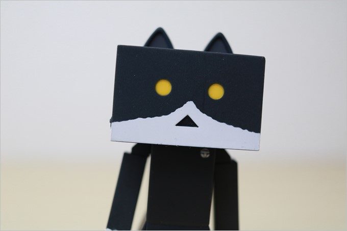 EFS24mm f/2.8STM、f2.8、シャッター速度1/500、ISO800