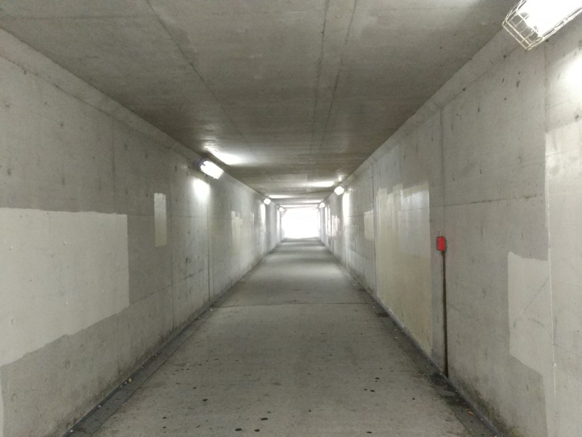 LeTV Leeco Le Max 2では薄暗い場所でもきれいに取れました