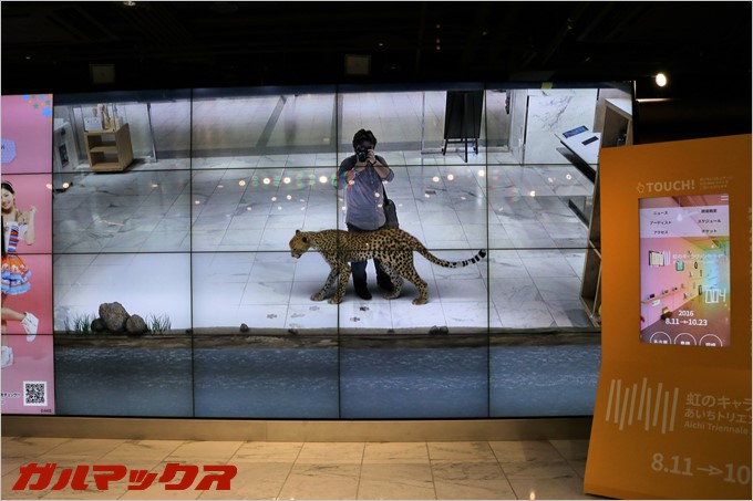 画面の中で動物と戯れる事ができます