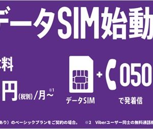 楽天モバイル050データSIMまとめ！