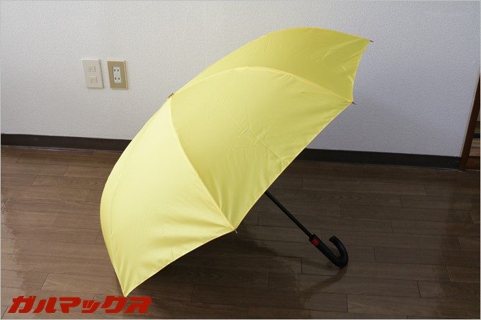 開くと形状はいつもの傘という印象。