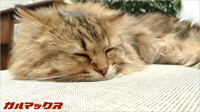 マニュアルモードで撮影（ZenFone3で撮影）