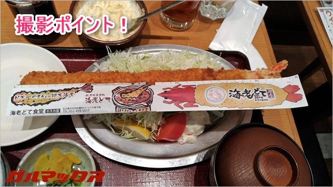 定規を広げたら海老ふりゃ~に重ねて撮影しましょう！