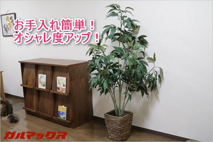 お手入れ簡単な光触媒観葉植物!