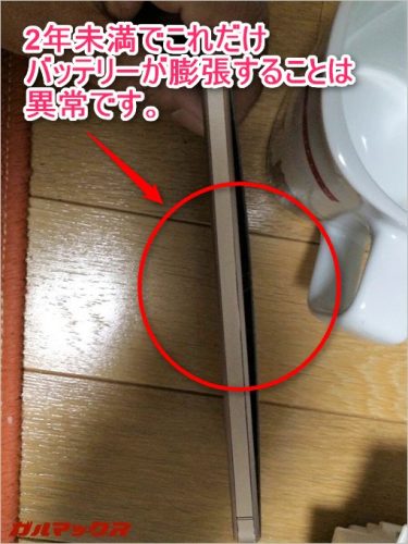 garumax-15942715_1232304726848652_631596364_o