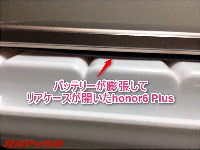 garumax-15943070_1232304650181993_1657006820_o