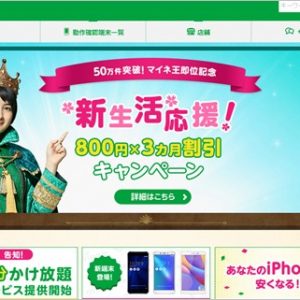 mineoの紹介制キャンペーンを使ってお徳に格安SIMを使おう！