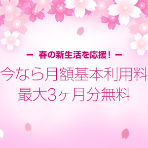 LINEモバイルの音声通話プラン料金が最大3ヶ月0円！［2017/4/1更新］