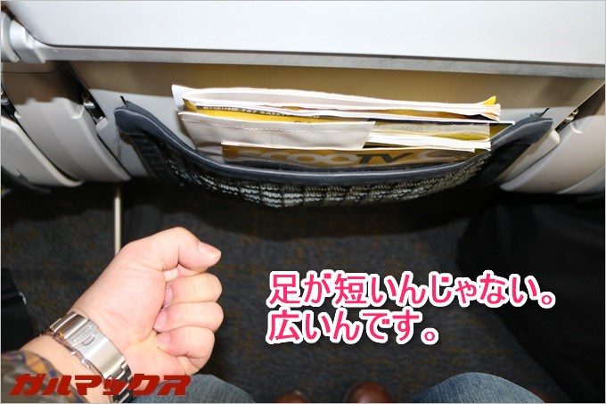 LCCのスクートが採用するボーイング787はエコノミークラスでも握り拳2つ分位は全席とスペースが空いてます。