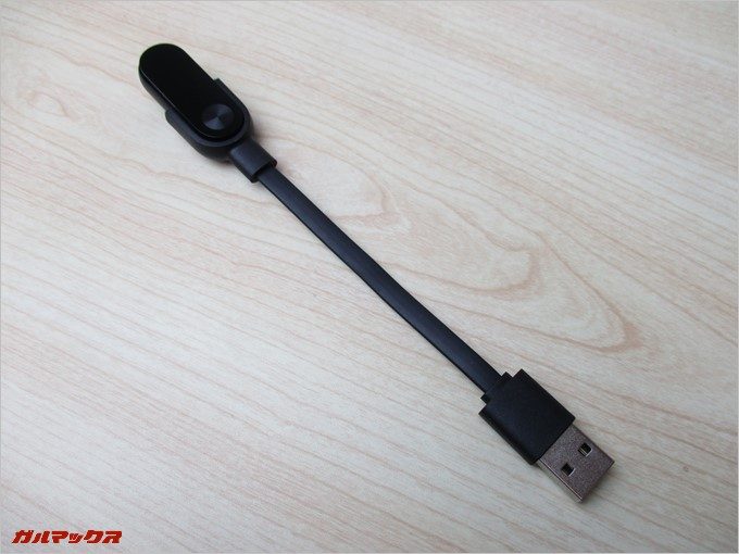 付属の充電ケーブルは専用品。日本のAmazonでも取り扱ってます。