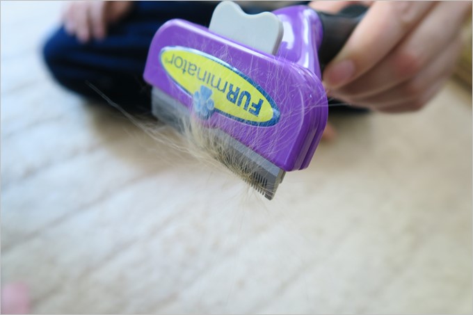 ファーミネーターでサラッとブラッシングするだけでごっそり抜け毛が取れます。