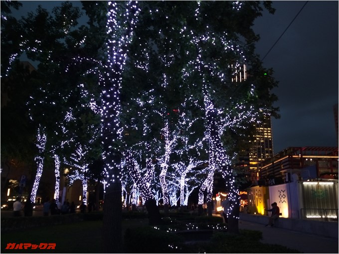 台北101周辺のイルミネーションを撮影