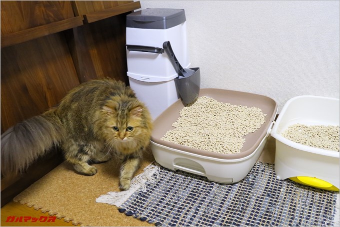 猫トイレの横にリターロッカーを置いてみた。
