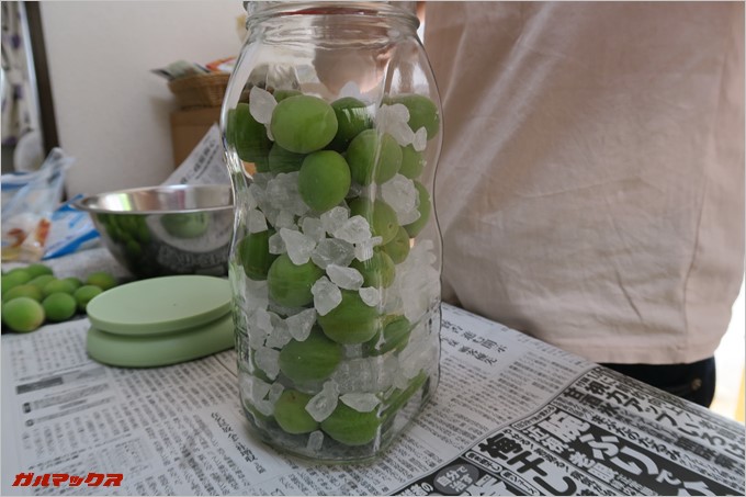 適当感ある詰め込み方です