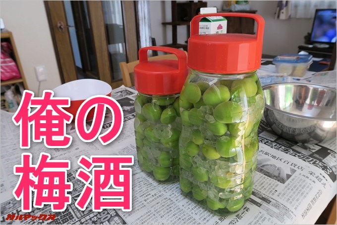 梅酒を作ってみた
