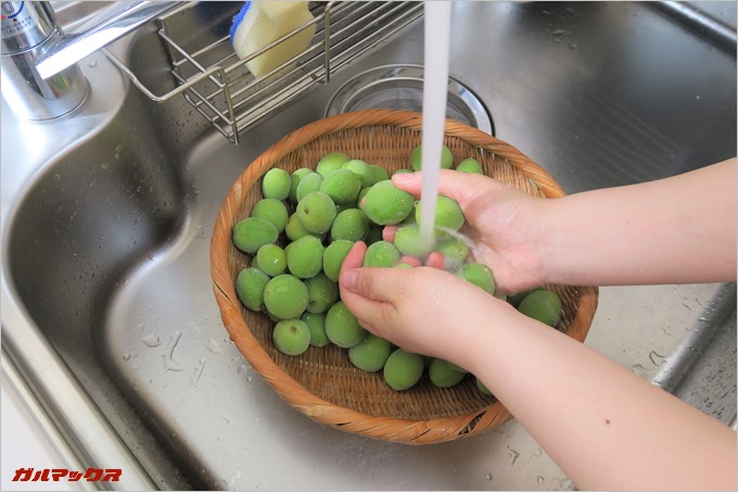綺麗に梅を洗います。