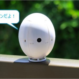 卵型のドローン「Kai Deng K130 Egg Drone」レビュー。高度維持機能が凄い