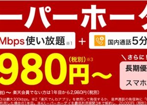 楽天モバイル、スーパーホーダイの詳細と注意点、利用料金まとめ