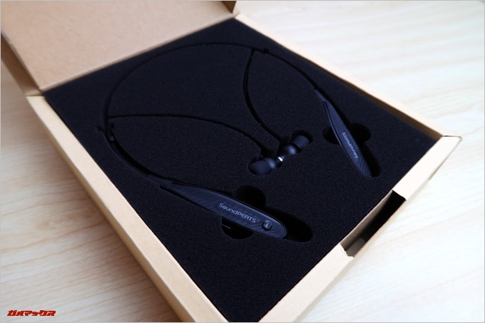 柔らかいスポンジでしっかり保護されています。