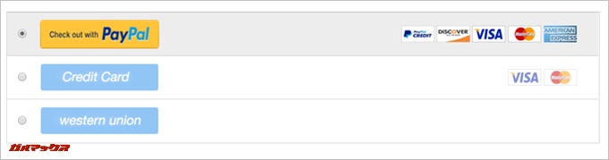 支払は各種クレジットカードとPayPalで使えます