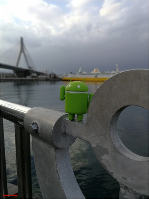 UMIDIGI S2のボケ味撮影で成功した例