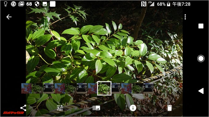 Xperia XZ1 Compact（G8441）はGoogleフォトでバグって表示される