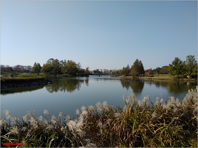 Xiaomi Mi A1のカメラで撮影