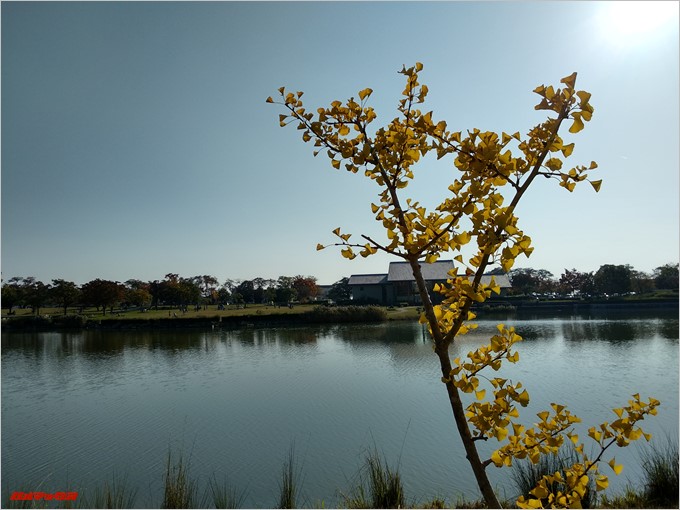 HDR撮影ではやや暗い印象