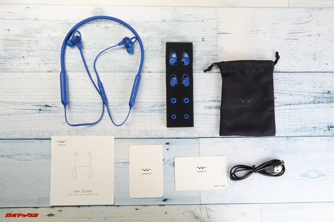 同梱物は本体、イヤーピース、イヤーフック、取扱説明書や保証書、充電器などが付属していました。