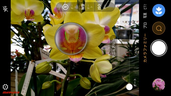 nubia Z17 liteのマクロモードではピントの合っている箇所が緑色に光る