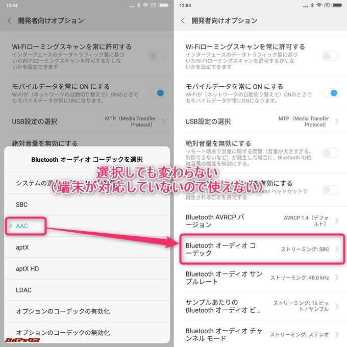 AACの表記はあるものの、実際には設定できない。