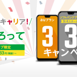 ［先行予約開始］mineoの格安SIM、ソフトバンク回線の通話プラン半年0円！ドコモ・auも333円！