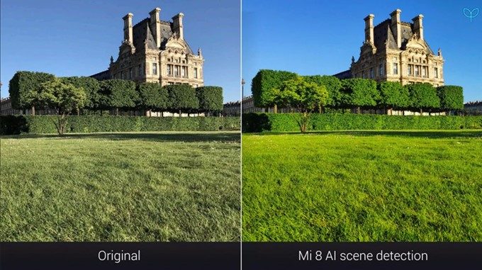Xiaomi Mi 8のカメラで草木を認識鮮やかな緑色の芝生が映えます